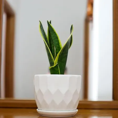 The Barend Апартаменты *