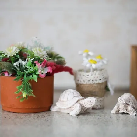 Apartamento The Barend Vlorë