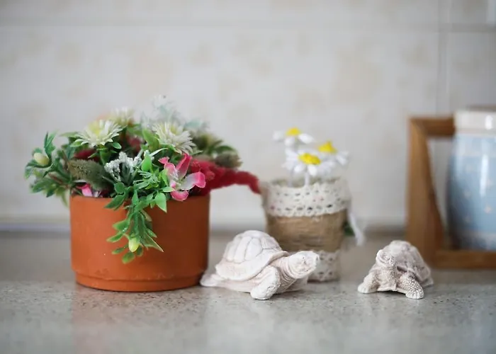 Appartement The Barend Vlorë