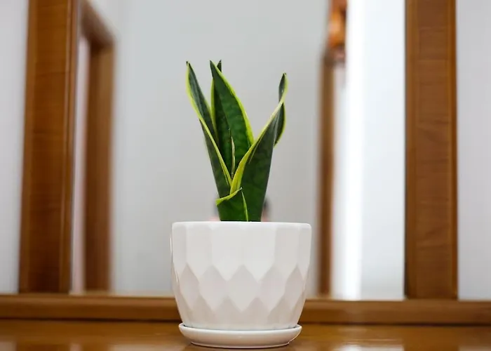 The Barend Appartement *